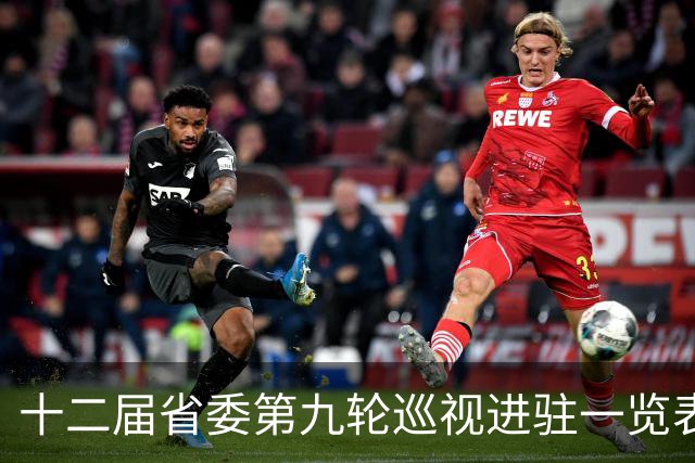 十二届省委第九轮巡视进驻一览表