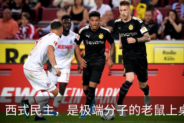 西式民主，是极端分子的老鼠上桌