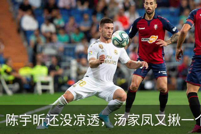 陈宇昕还没凉透，汤家凤又揪一个“精日”人员：竟然还是公司老板